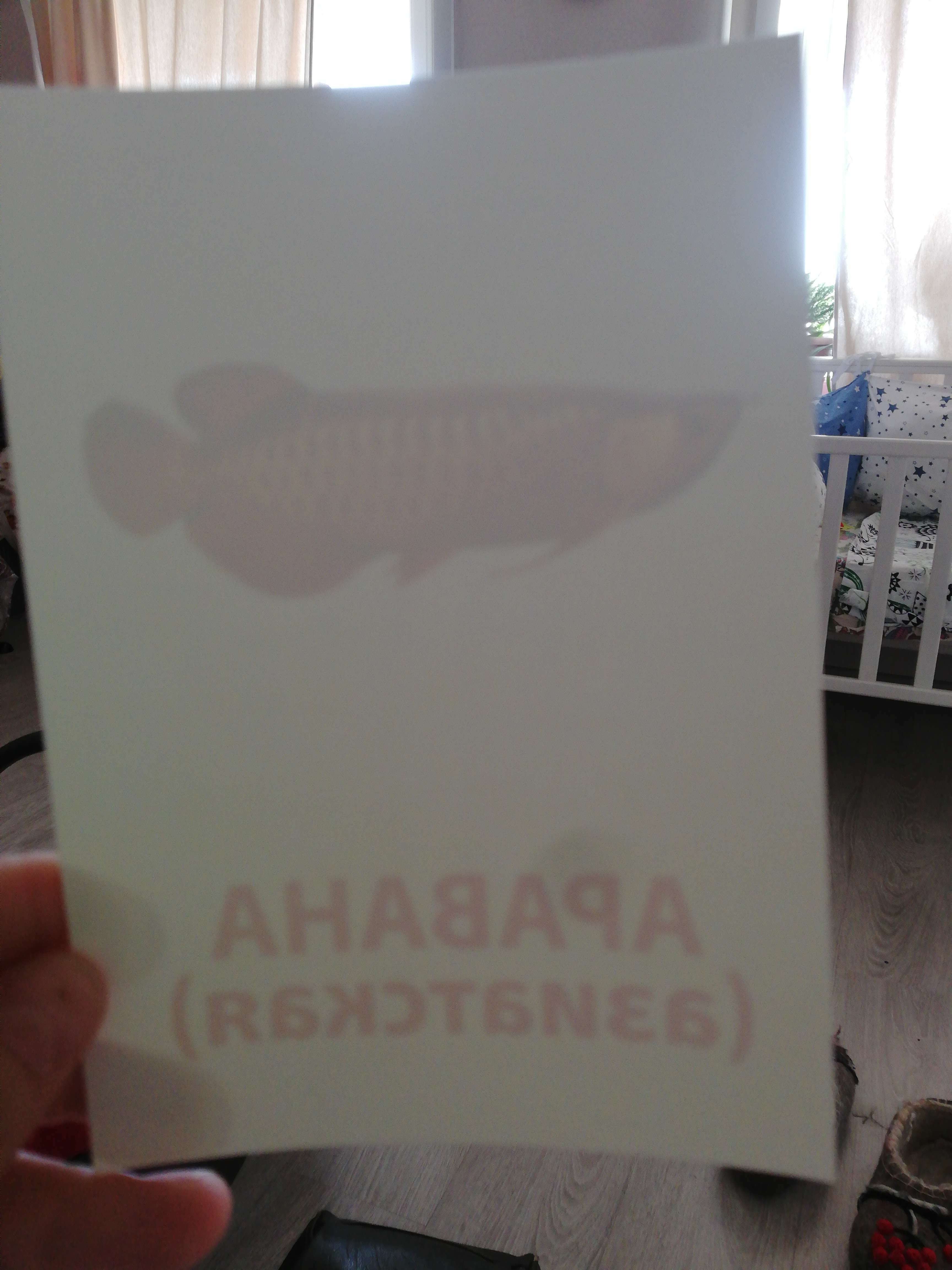 Фотография покупателя товара Обучающие карточки по методике Г. Домана «Рыбы», 10 карт, А6 - Фото 3