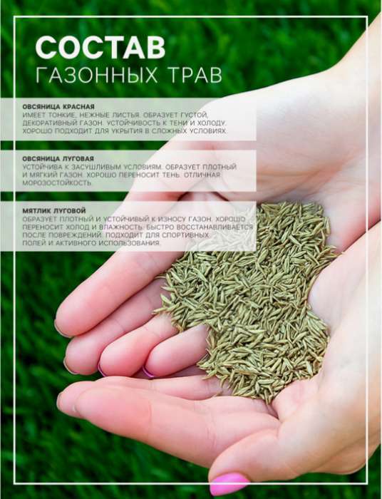 Фотография покупателя товара Газонная травосмесь «Универсальная», 1 кг - Фото 1