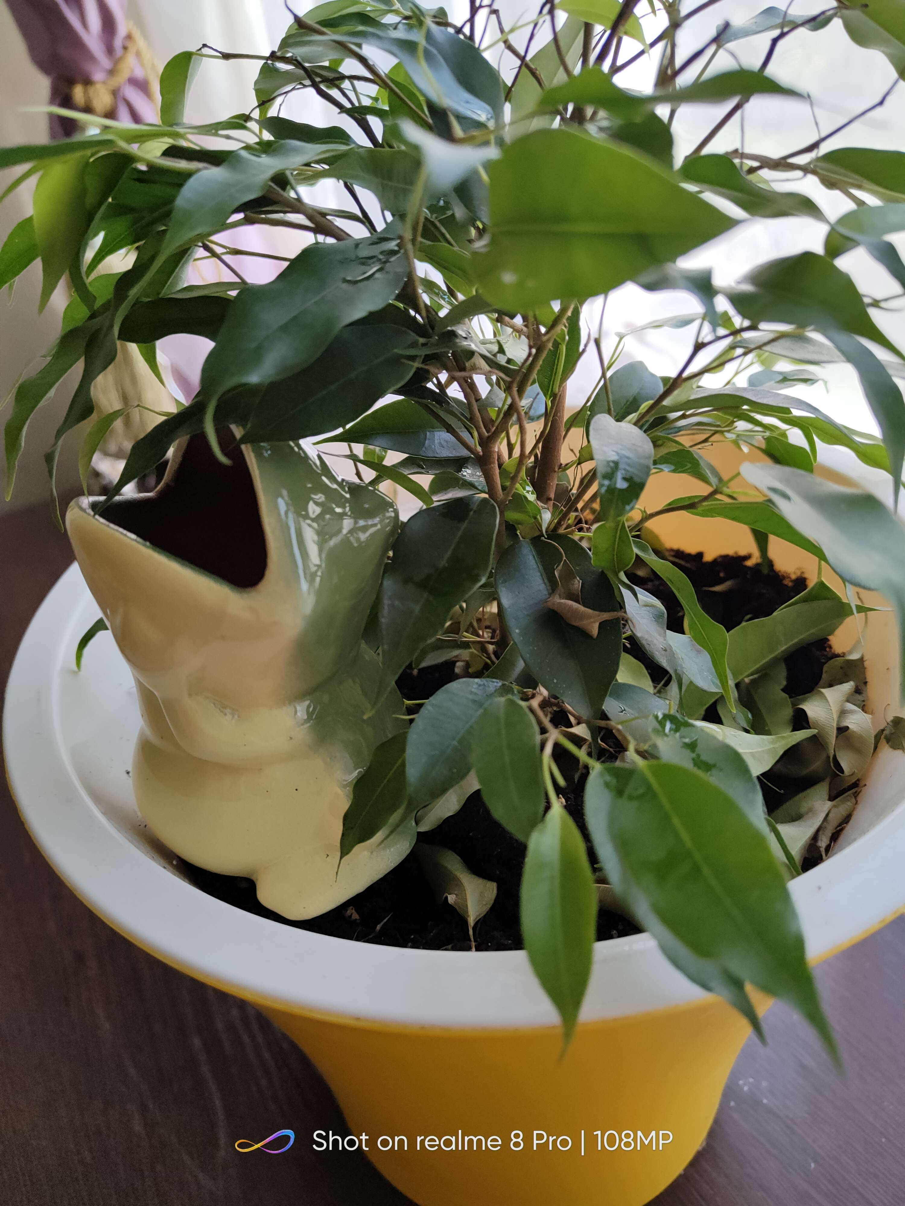 Фотография покупателя товара Ороситель для домашних растений и сада "Лягушка" Кунгурская керамика, 0.1л, 16см, зелёный