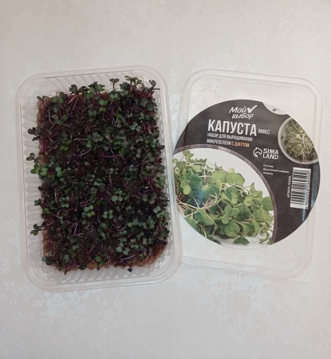 Фотография покупателя товара Набор для выращивания микрозелени "Капуста Микс" с джутом - Фото 1