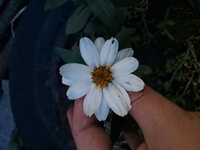 Фото отзыва 2