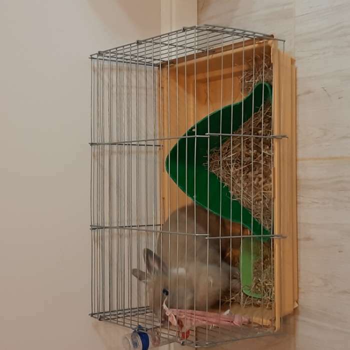 Фотография покупателя товара Клетка для кроликов, морских свинок "Пижон" №6, цвет хром, 58 х 40 х 30 см, бежевая
