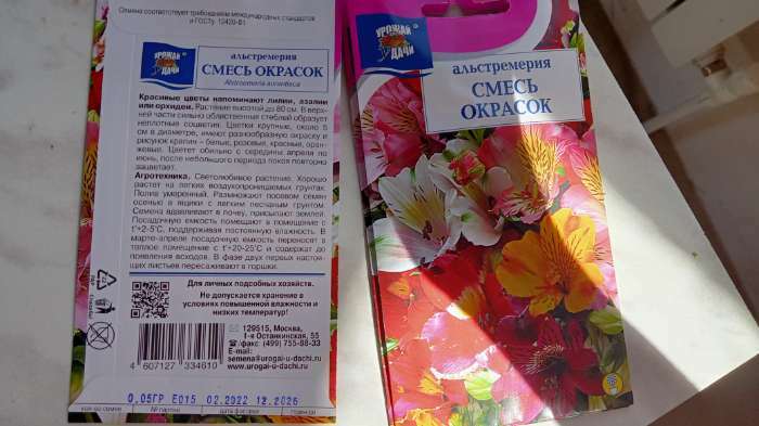Фотография покупателя товара Семена цветов Альстремерия "Смесь окрасок", 0,06 г - Фото 1