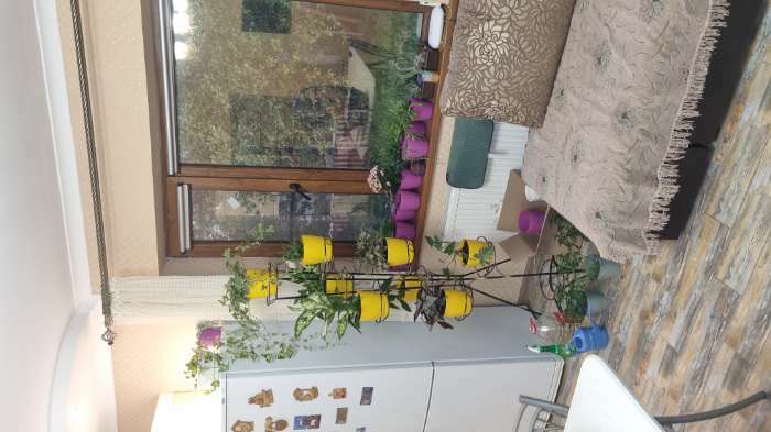 Фотография покупателя товара Горшок для цветов с поддоном «Ротанг», 1,2 л, цвет сиреневый