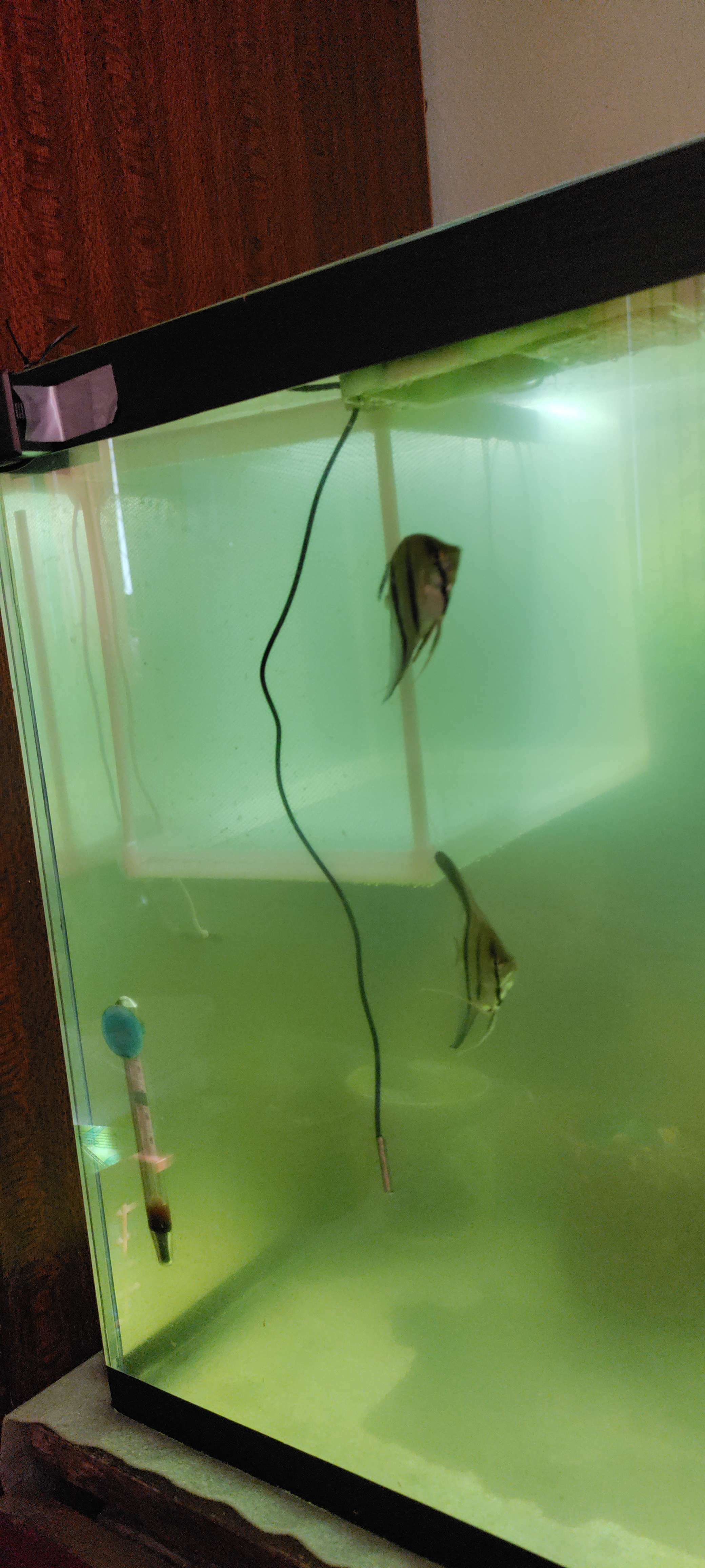 Фотография покупателя товара Отсадник большой, 26×15×15 см, пластик - Фото 1