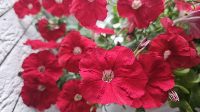 Фото отзыва 7