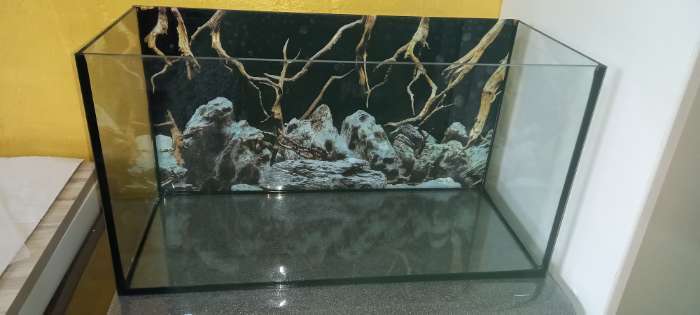 Фото отзыва 2