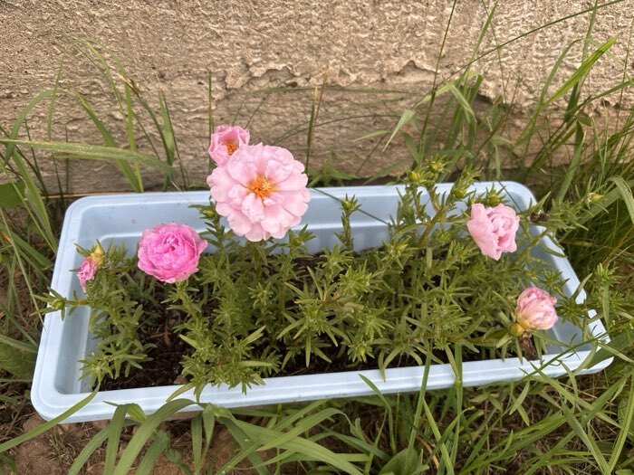 Фото отзыва 1