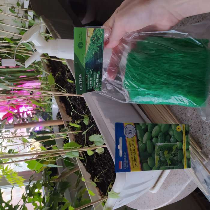 Фотография покупателя товара Сетка садовая, 2 × 10 м, ячейка 1.5 × 1.5 см, пластиковая, зелёная, Greengo