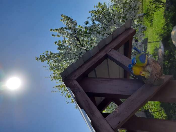Фотография покупателя товара Подвесной декор "Гнездо с серыми птицами" 17х10х17см - Фото 10