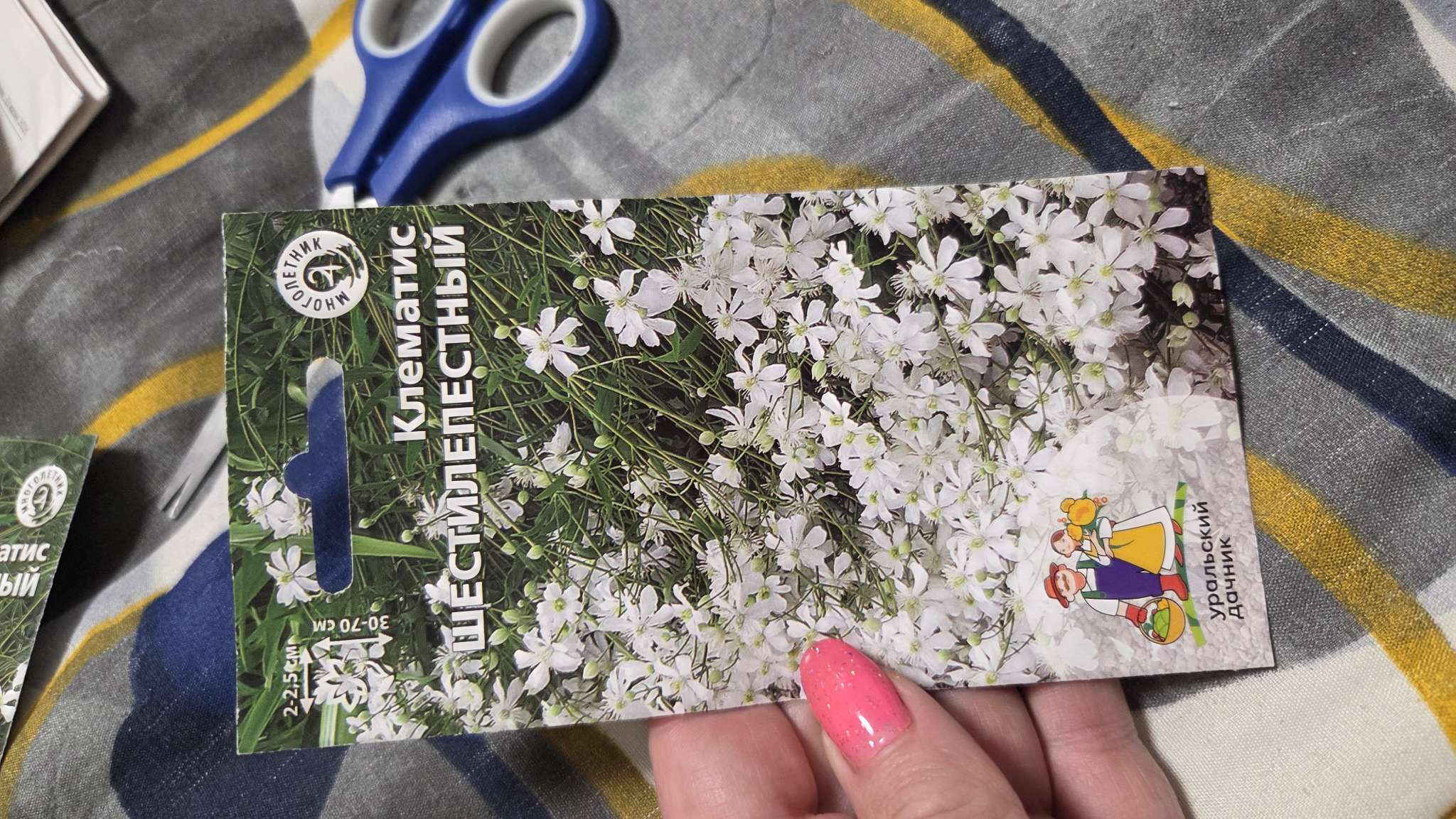 Фотография покупателя товара Семена Цветы Клематис «Шестилепестный», «Уральский Дачник» 10 шт. - Фото 1