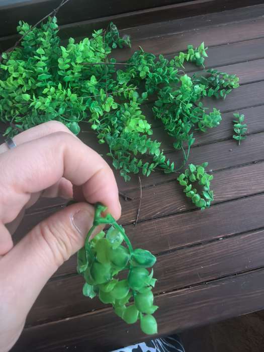 Фотография покупателя товара Декоративная панель, 60×40 см, «Самшит», Greengo - Фото 2