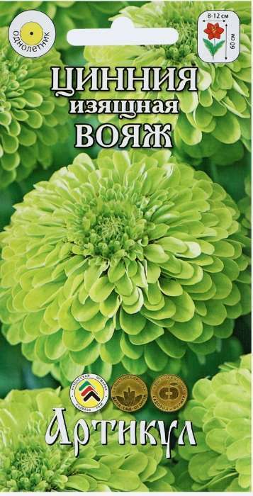 Фотография покупателя товара Семена Цветов Цинния изящная «Вояж», 0.3 г - Фото 3