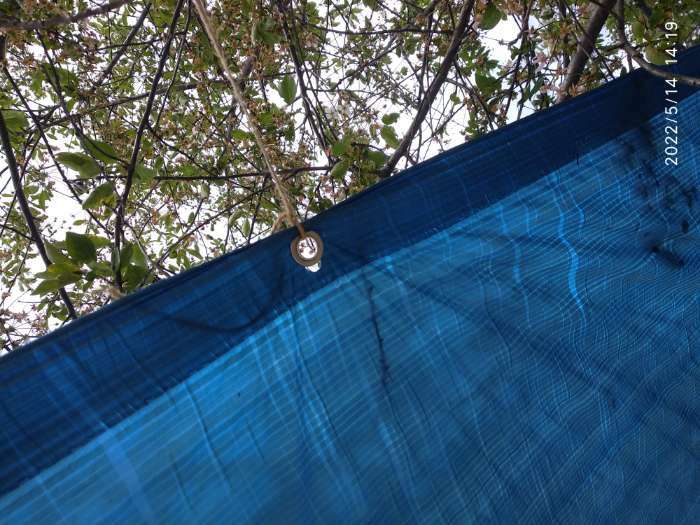 Фотография покупателя товара Тент защитный, 5 × 3 м, плотность 60 г/м², люверсы шаг 1 м, тарпаулин, УФ, голубой - Фото 2
