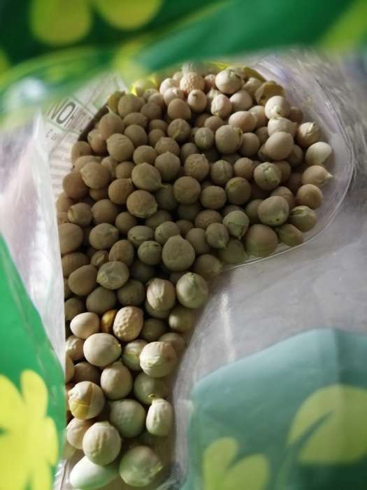 Фотография покупателя товара Семена Горох "Зеленый уголок", посевной, 0,5 кг - Фото 1