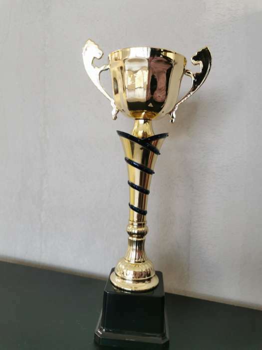 Фотография покупателя товара Кубок 139C, наградная фигура, золото, подставка пластик, 30 × 12,5 × 6 см - Фото 4