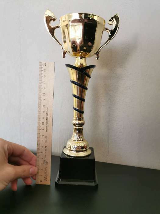 Фотография покупателя товара Кубок 139C, наградная фигура, золото, подставка пластик, 30 × 12,5 × 6 см - Фото 3