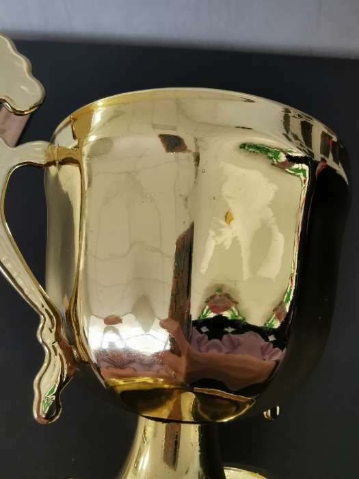 Фотография покупателя товара Кубок 139C, наградная фигура, золото, подставка пластик, 29,5 × 13 × 7,5 см. - Фото 1