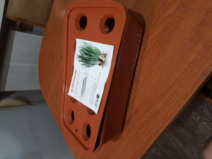 Фотография покупателя товара Лоток для выращивания зелёного лука, 29 × 16 × 8.5 см, 10 лунок, терракотовый