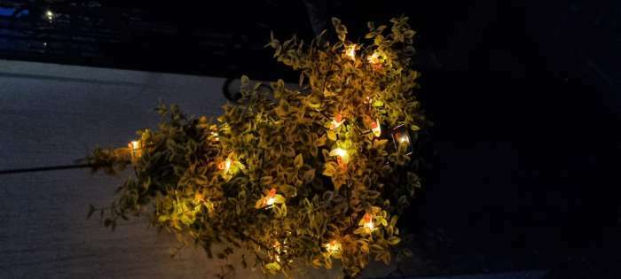 Фотография покупателя товара Гирлянда «Нить» 4.5 м с насадками «Пчёлки», IP44, тёмная нить, 30 LED, свечение тёплое белое, 2 режима, солнечная батарея - Фото 14