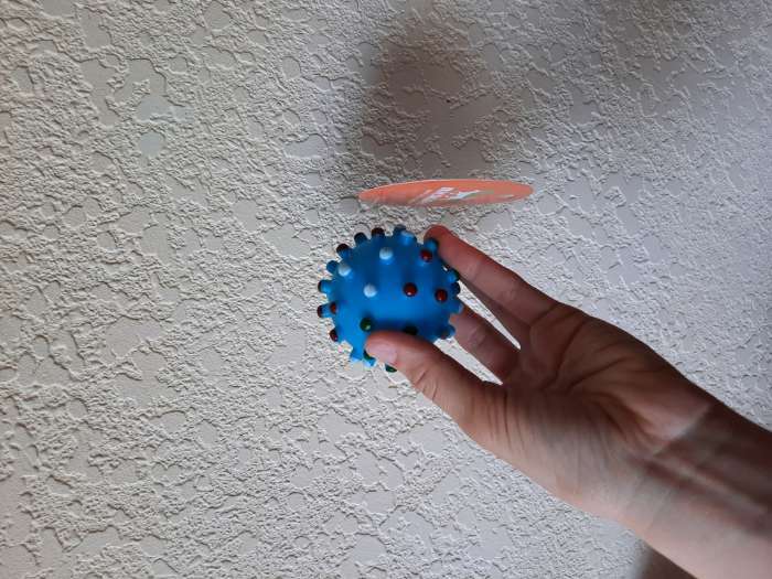 Фотография покупателя товара Игрушка пищащая "Бактерия" для собак, 6,3 см, голубая - Фото 1