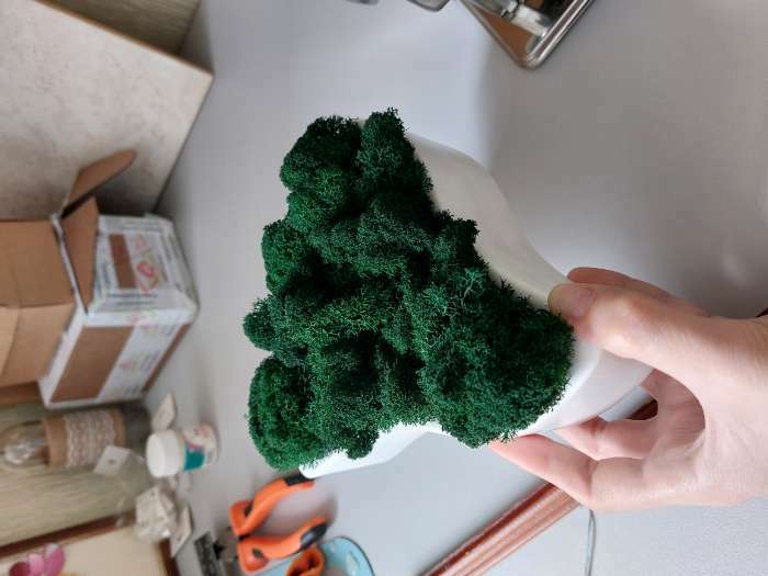 Фотография покупателя товара Мох стабилизированный "Трава" 45 гр (+-5 гр) - Фото 2