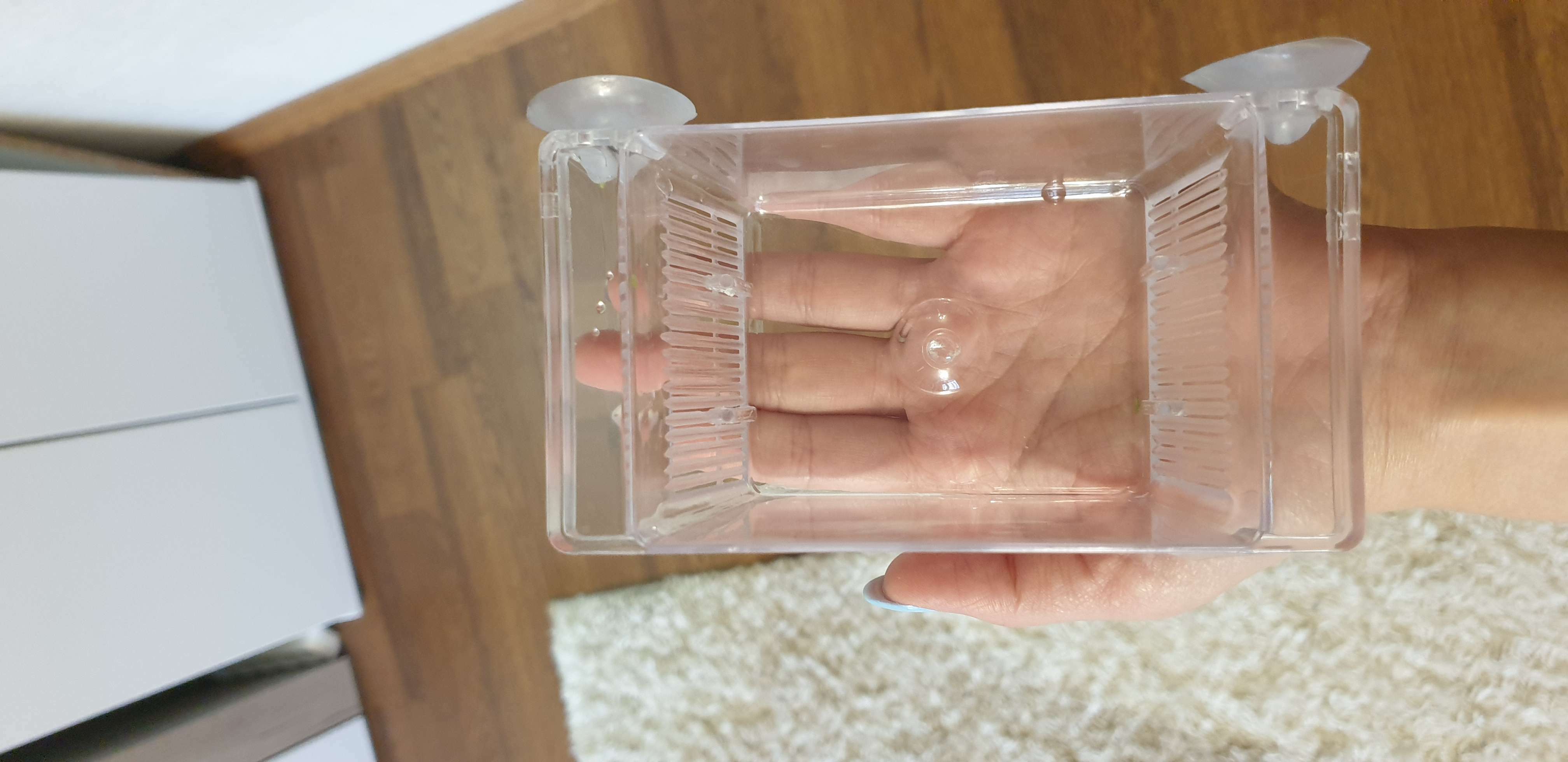 Фотография покупателя товара Отсадник малый, 12.5×7×7 см, на присосках, пластик - Фото 3