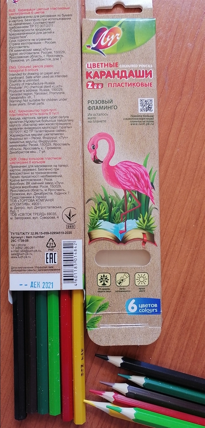 Фотография покупателя товара Цветные карандаши 6 цветов ZOO, пластиковые, шестигранные
