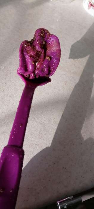 Фотография покупателя товара Набор кухонных принадлежностей Доляна «Радуга», 4 предмета, цвет фиолетовый - Фото 2