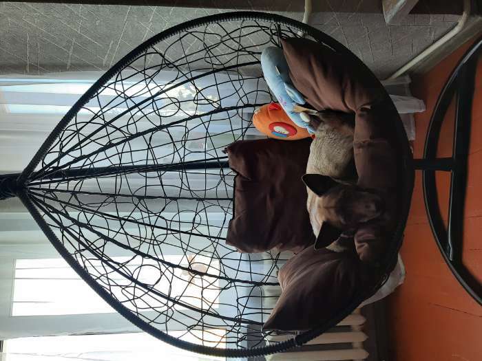 Фотография покупателя товара Подвесное кресло SEVILLA коричневое, бордовая подушка, стойка - Фото 1