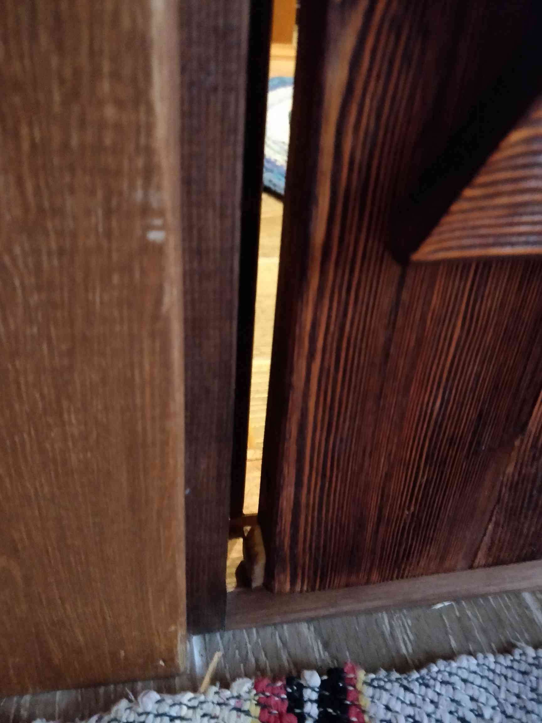 Фотография покупателя товара Дверь для бани "Классика" с накладками, 170×70см, брашированная, морёная, лакированная - Фото 3