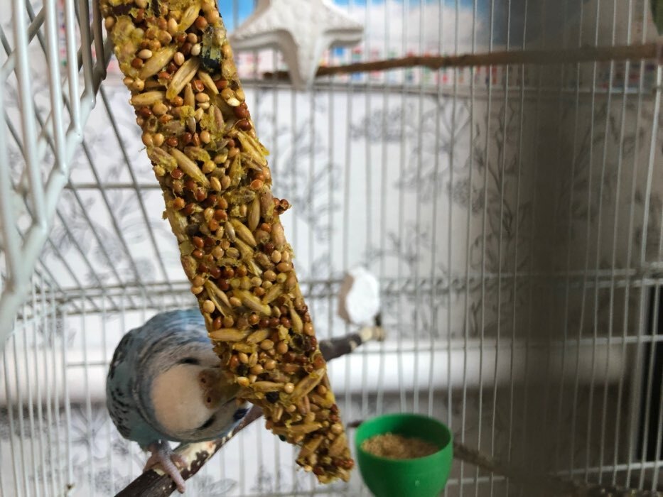Фотография покупателя товара Зерновые палочки "Пижон" для птиц, с орехами, 2 шт, 96 г - Фото 2