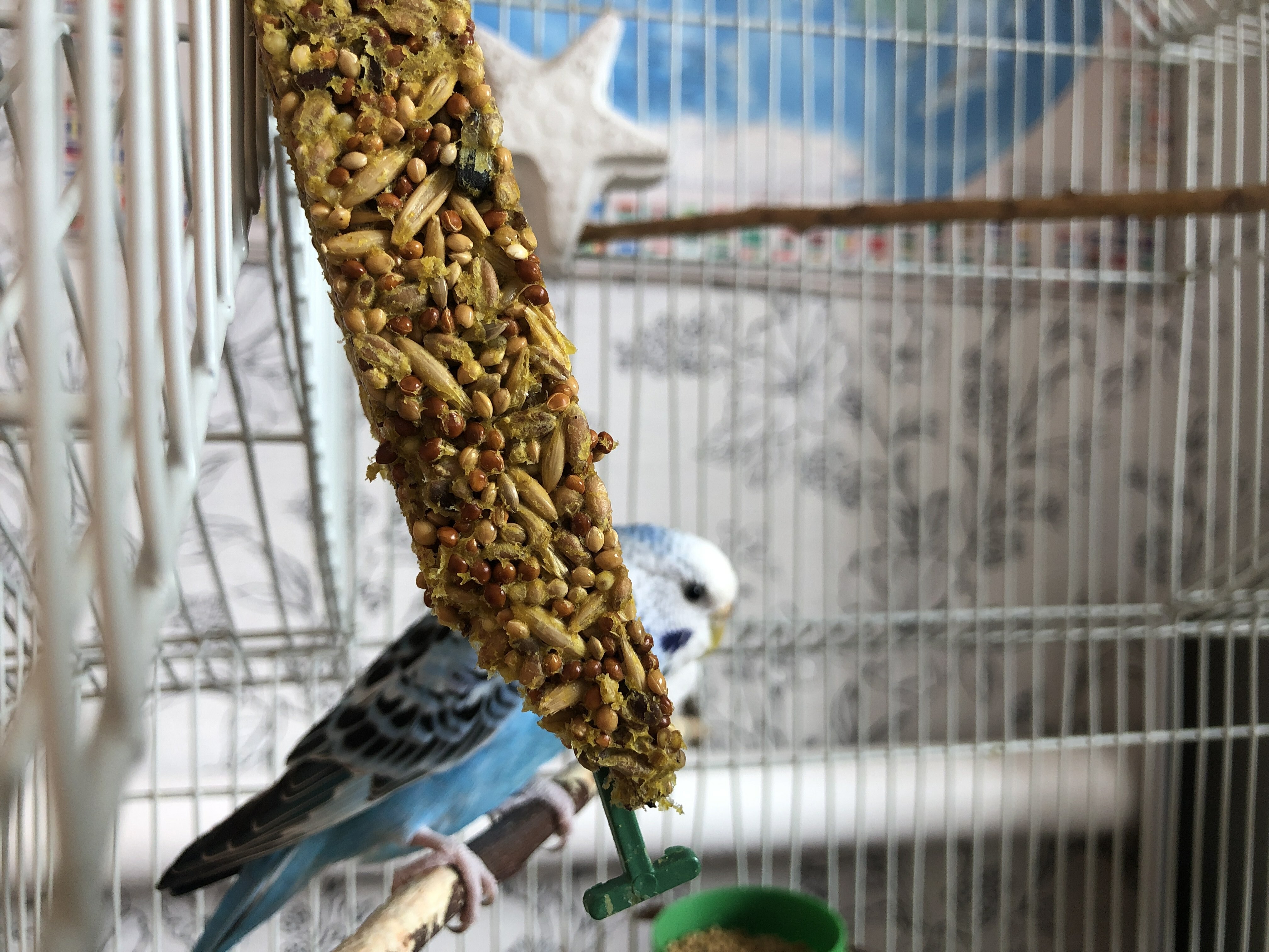 Фотография покупателя товара Зерновые палочки "Пижон" для птиц, с орехами, 2 шт, 96 г - Фото 1