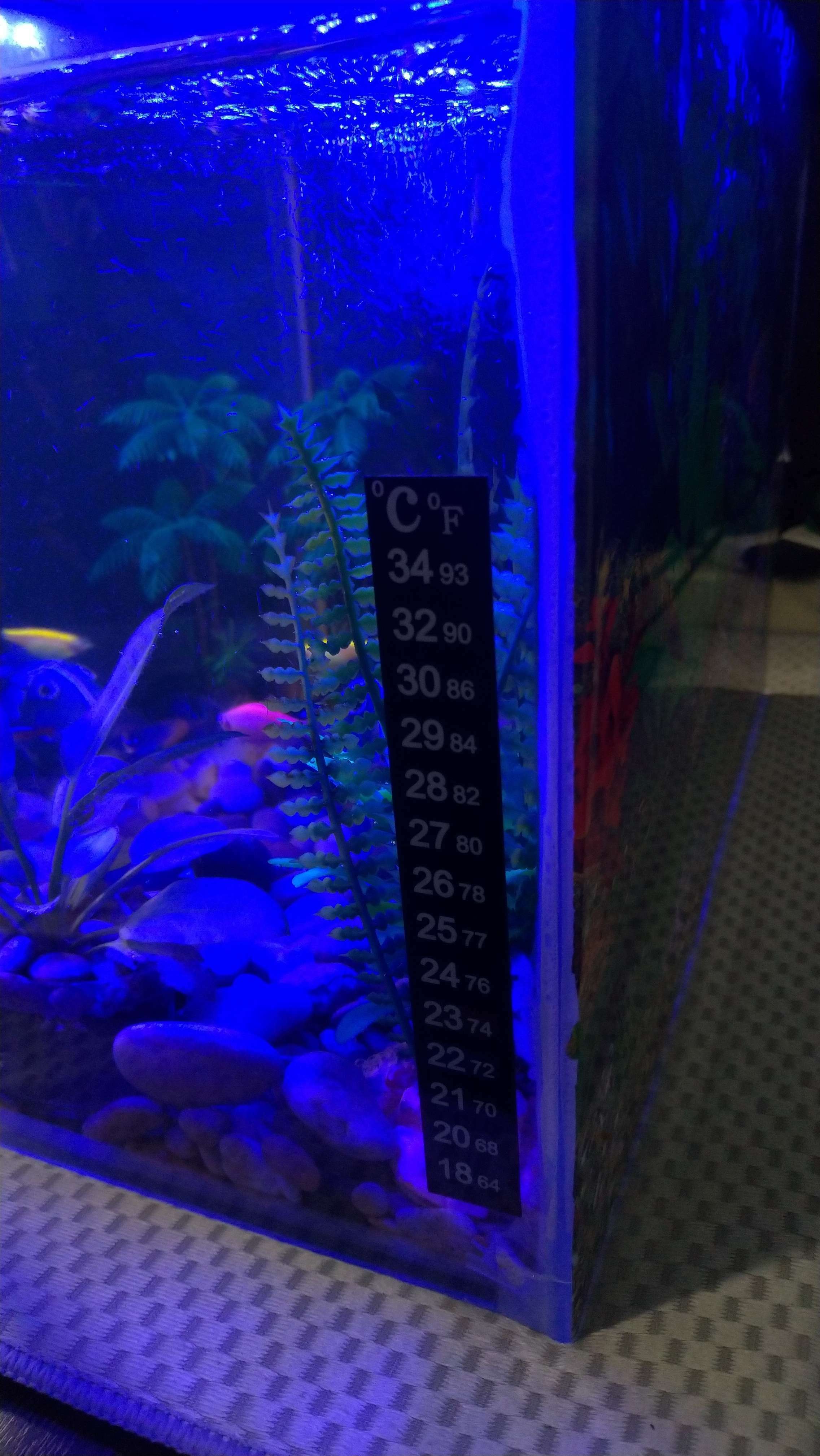 Фотография покупателя товара Термометр аквариумный, 13 х 1,8 см