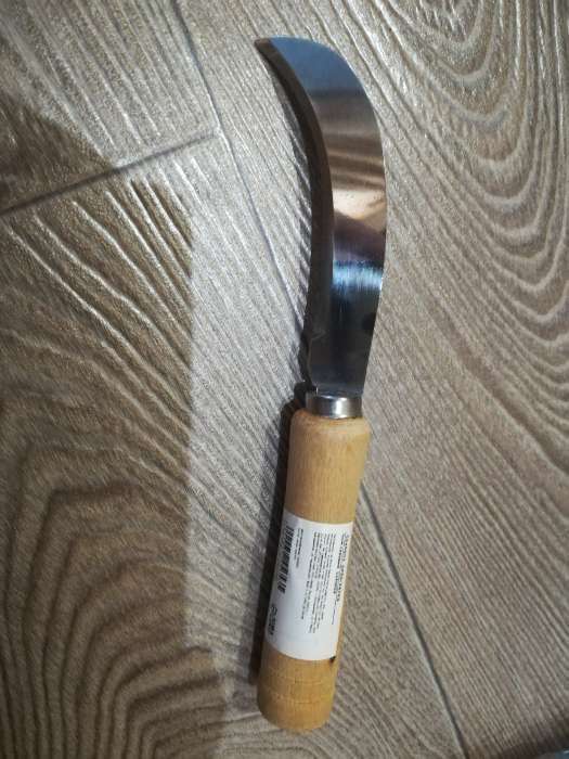 Фотография покупателя товара Нож садовый, 18 см, с деревянной ручкой - Фото 1