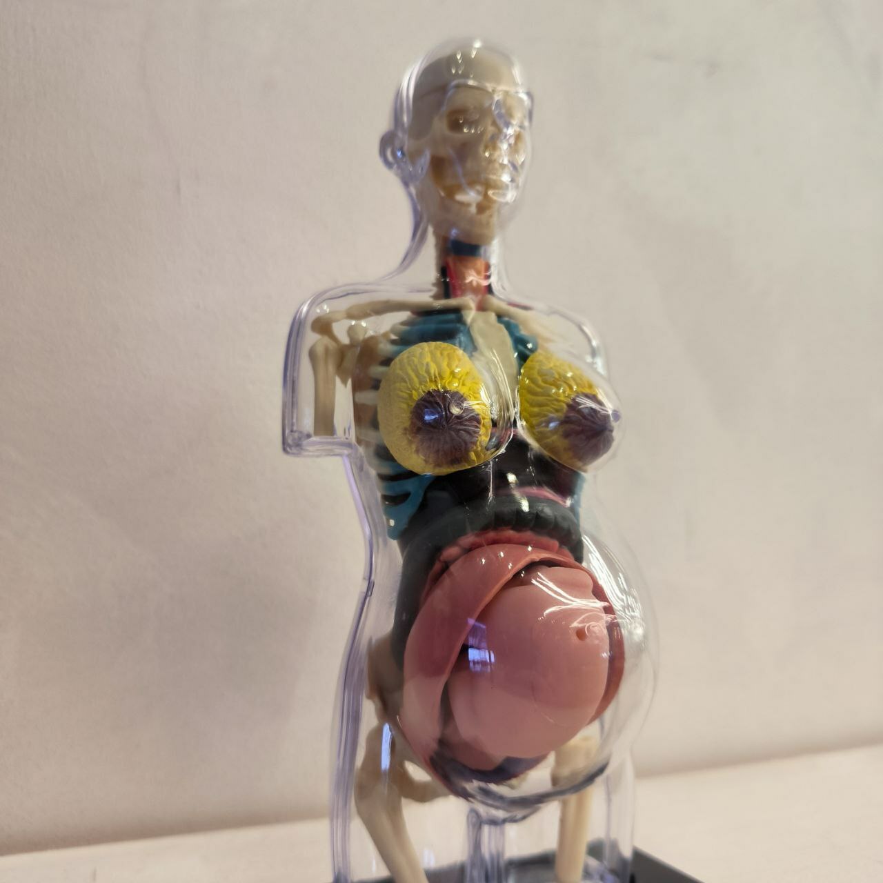 Фотография покупателя товара Набор для опытов «Анатомия человека» - Фото 3