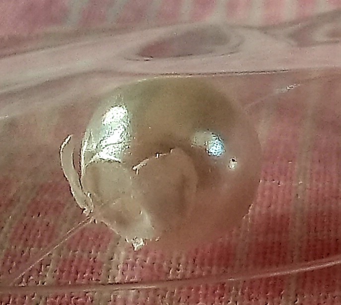Фотография покупателя товара Бусы на леске «Жемчуг» шар №8, цвет белый в серебре, L=30 см - Фото 4
