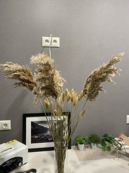 Фотография покупателя товара Декор сухоцвет "Камыш" 80 см, бежевый (фасовка 5шт, цена за 1шт)