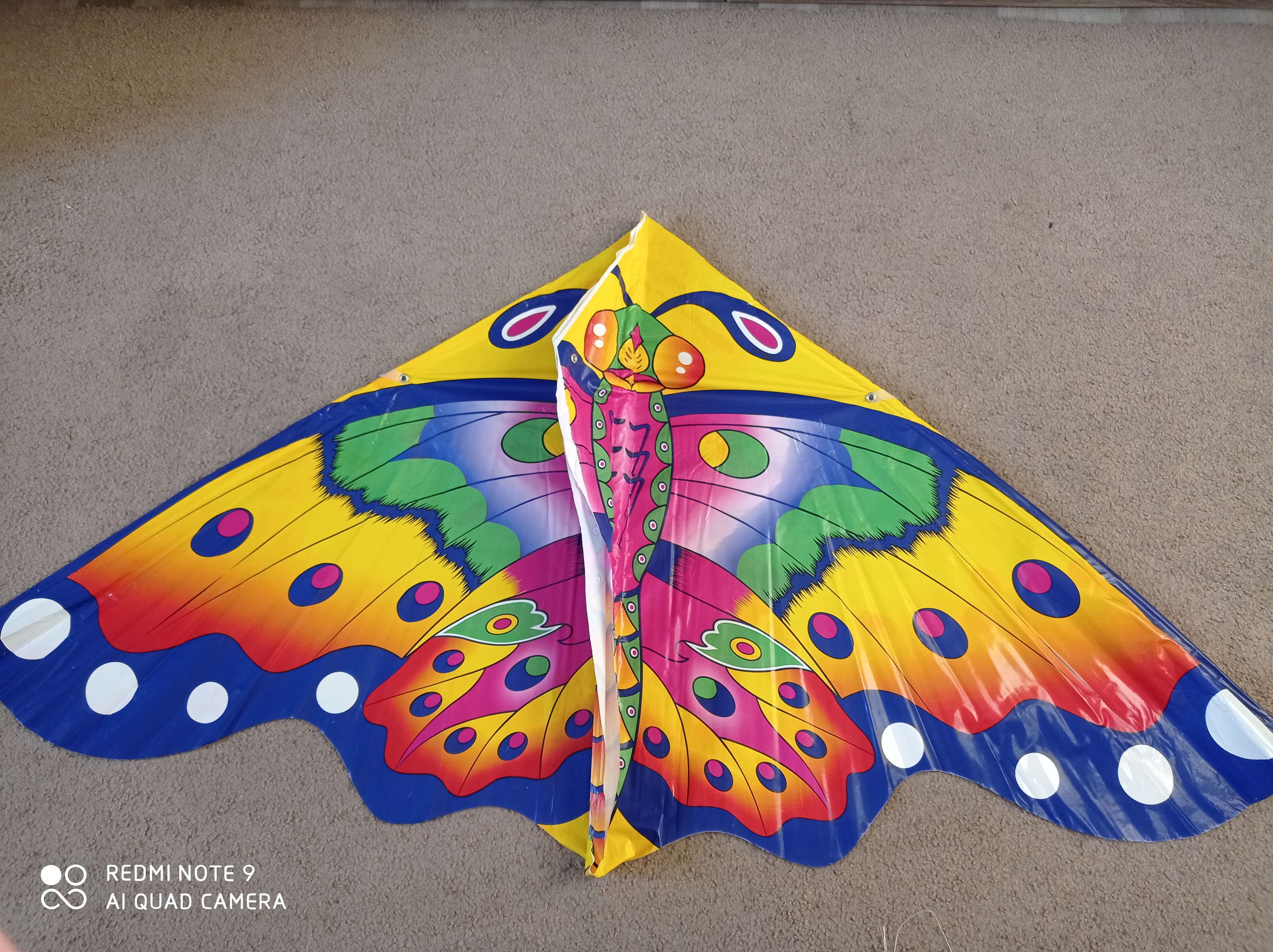 Фотография покупателя товара Воздушный змей «Цветная бабочка», с леской - Фото 3