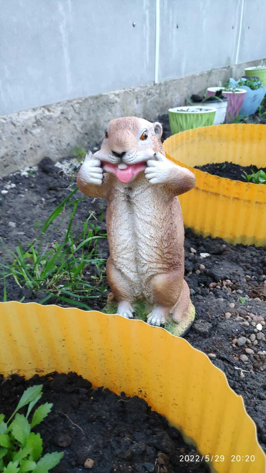 Фотография покупателя товара Садовая фигура "Веселый бурундук" 27 см - Фото 2