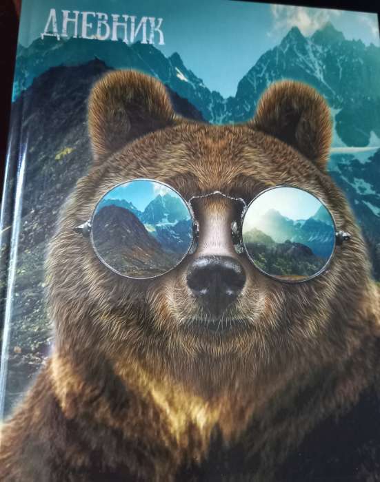 Фотография покупателя товара Дневник для 5-11 классов, "Медведь в очках", твердая обложка 7БЦ, глянцевая ламинация, 48 листов - Фото 3