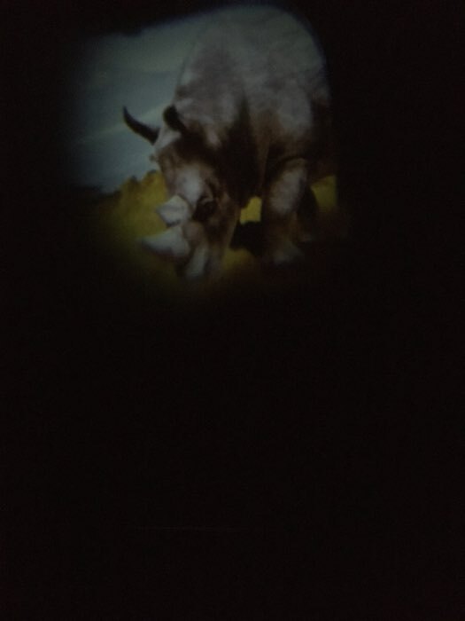 Фотография покупателя товара Проектор-фонарик «Мир зверей», световые эффекты