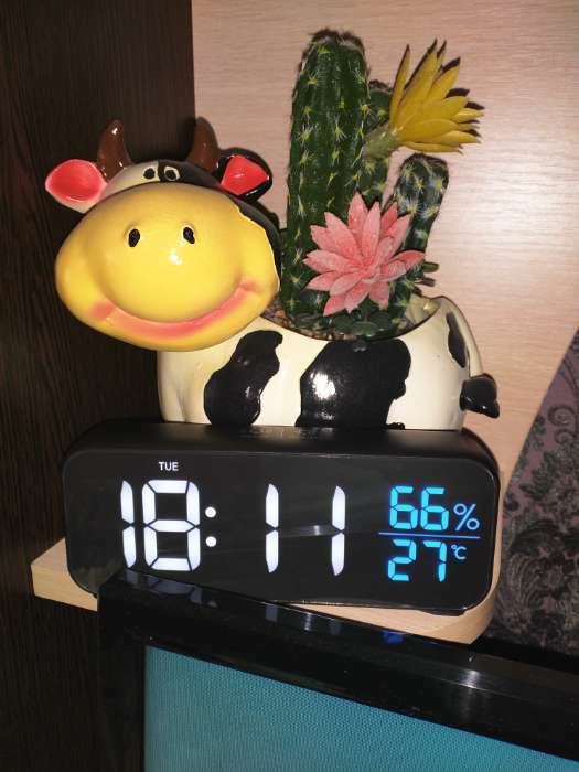 Фотография покупателя товара Часы - будильник электронные настольные: календарь, термометр, гигрометр, 16.8 х 6.6 см
