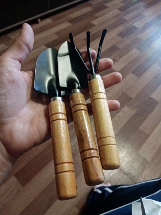 Фотография покупателя товара Набор садового инструмента, 3 предмета: рыхлитель, 2 совка, длина 20 см, деревянные МИКС ручки, Greengo - Фото 4