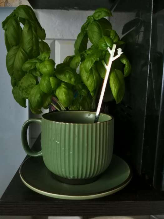 Фотография покупателя товара Ложка чайная Magistro Leaf, h=15 см, цвет серебряный - Фото 2