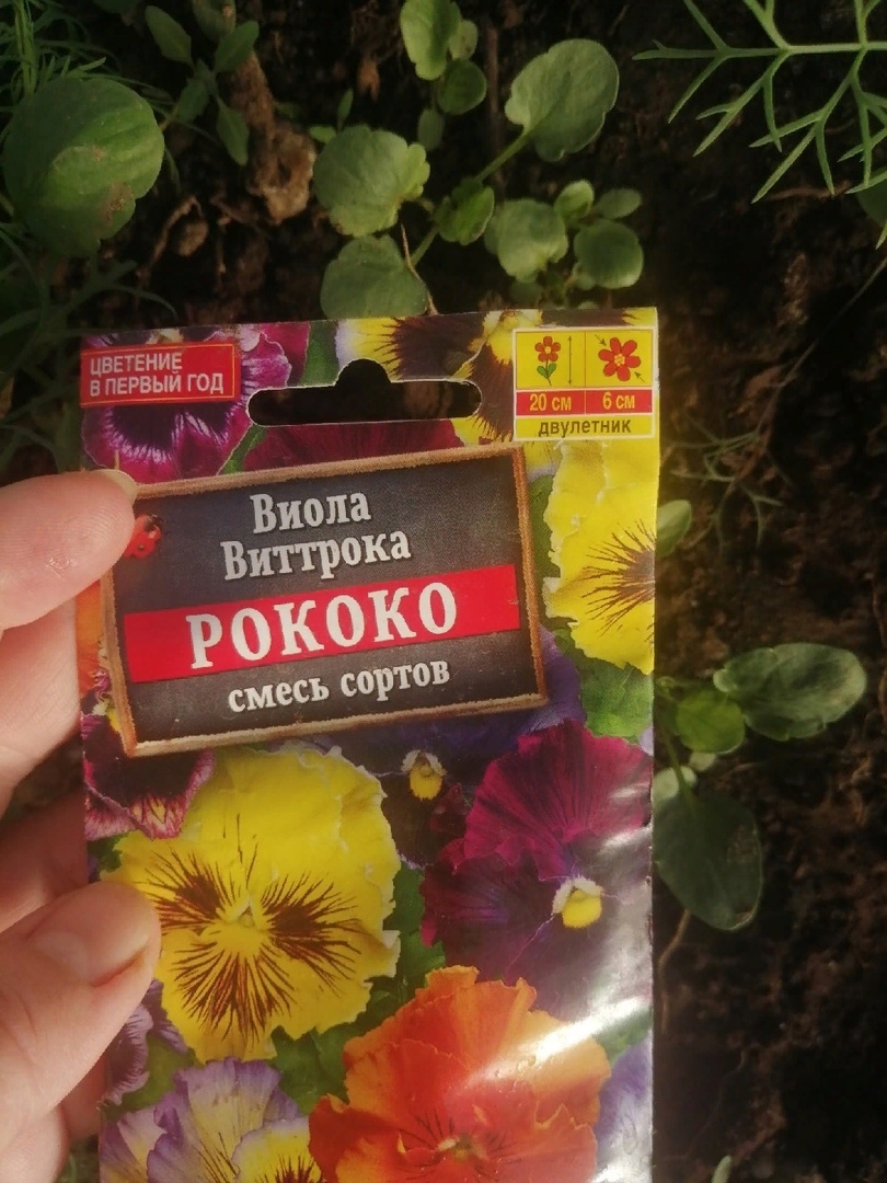 Фотография покупателя товара Семена цветов Виола "Рококо", смесь сортов, Дв, 0,1 г - Фото 3
