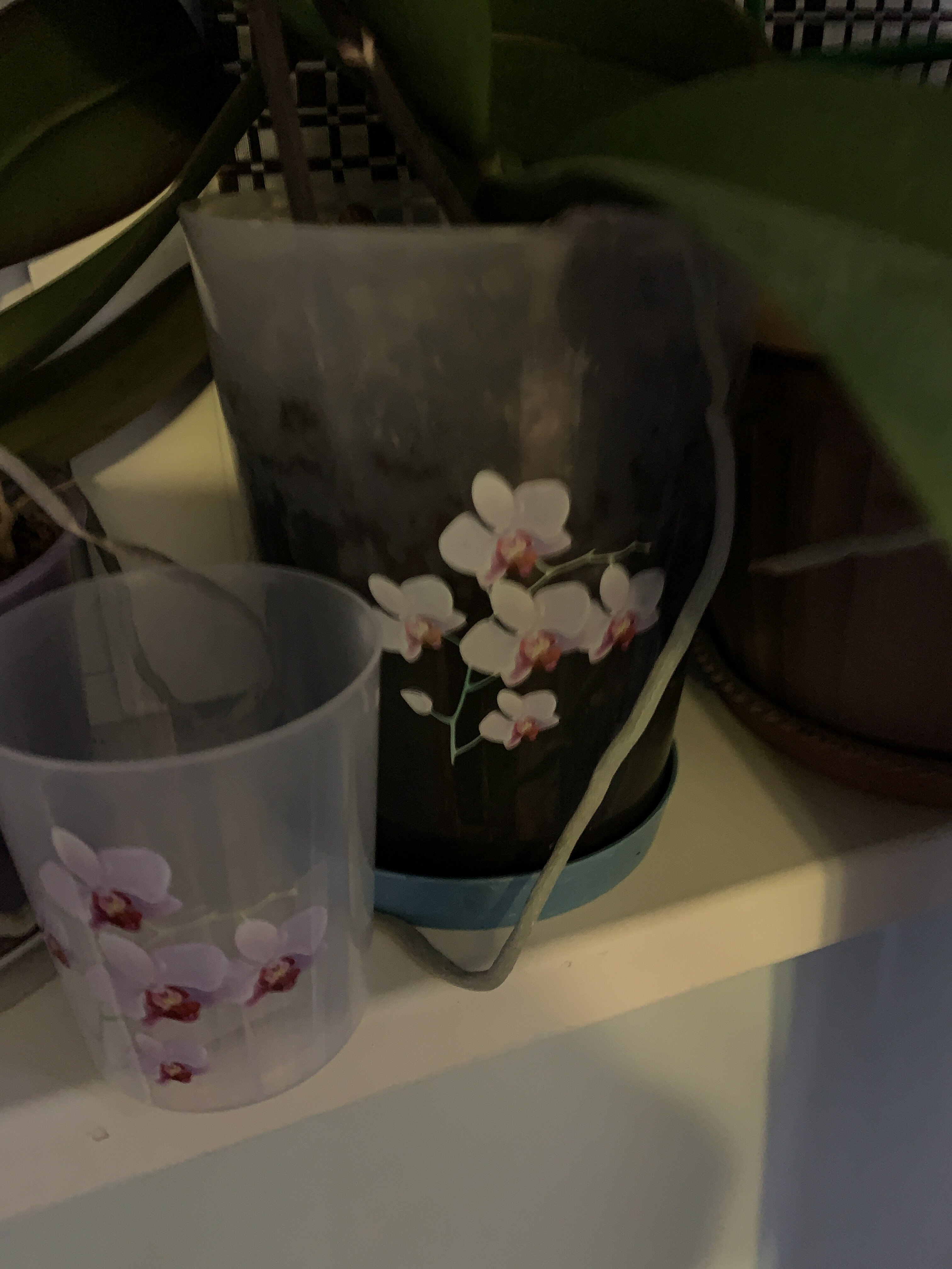 Фотография покупателя товара Горшок для орхидей с поддоном, 700 мл, цвет МИКС