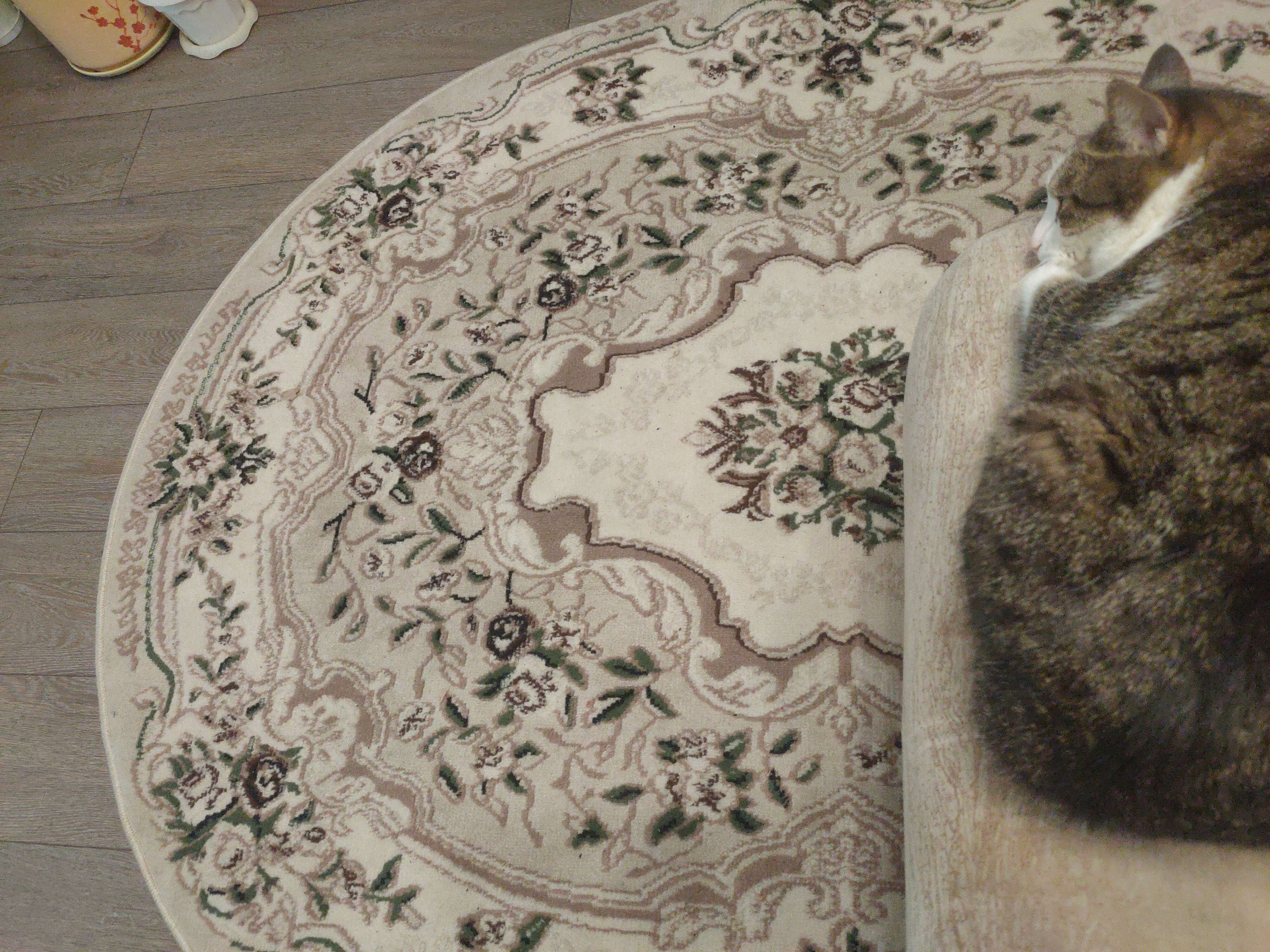 Фотография покупателя товара Ковёр овальный Merinos Gavana, размер 250x400 см, цвет beige - Фото 8