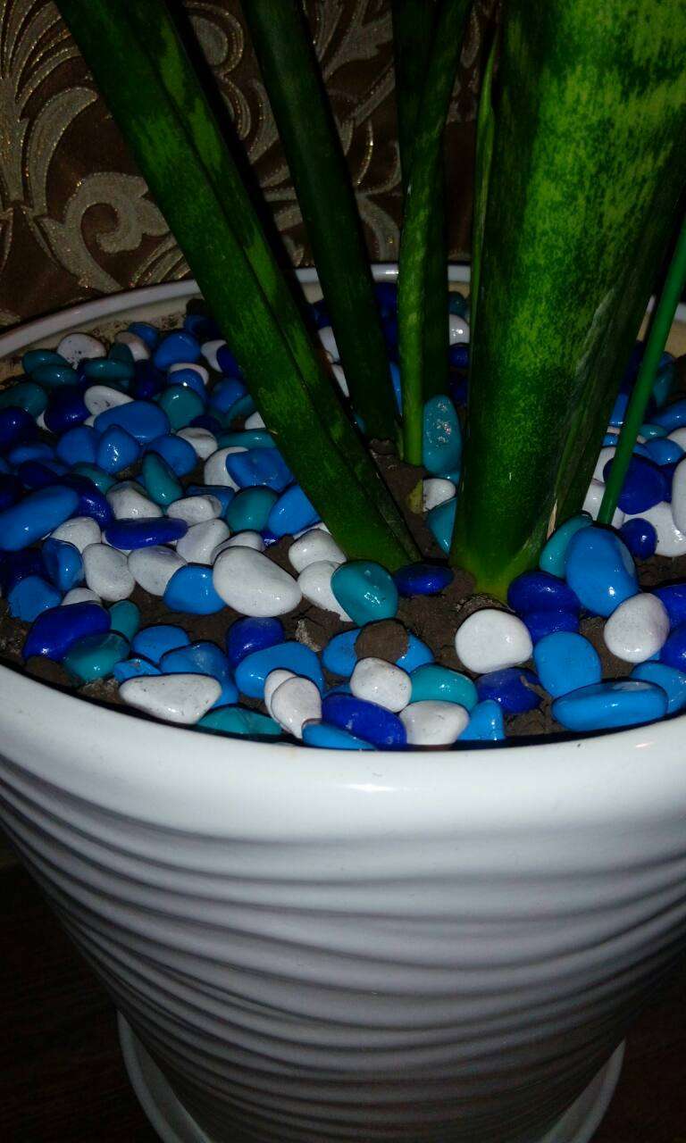 Фотография покупателя товара Грунт для аквариума "Галька цветная,  голубой-синий-белый-бирюзовый" 800г фр 8-12 мм - Фото 24