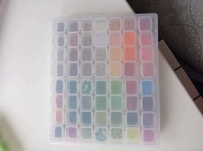 Фотография покупателя товара Набор органайзеров, 14 рядов по 4 ячейки, 21 × 17,5 × 2,5 см, в контейнере, цвет прозрачный - Фото 7